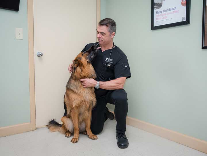 Preventive Care for Dogs