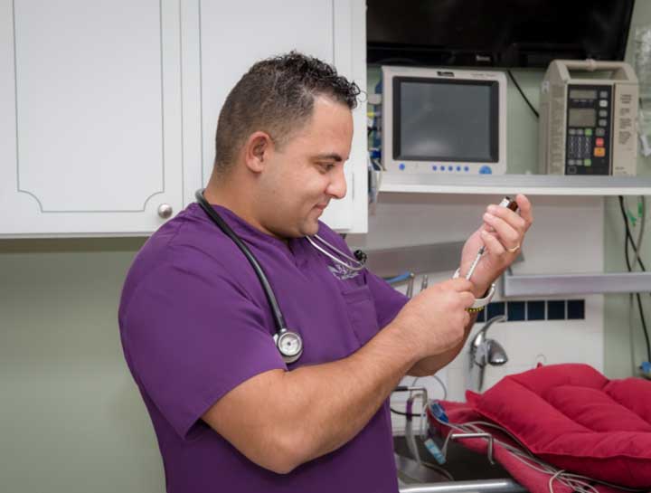 Soft Tissue Surgery